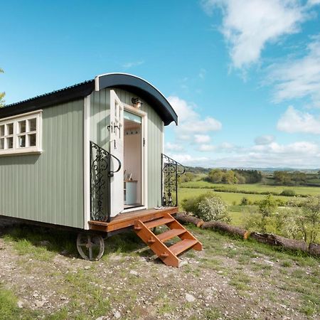 The Heron Shepherds Hut At Lyth Valley Brigsteer Luaran gambar